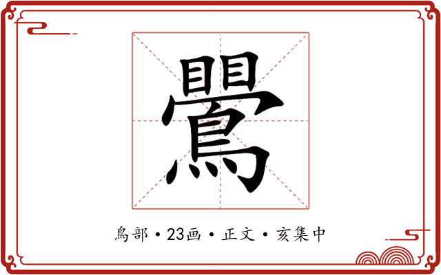 鷪