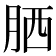𦚵