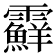 𩆵