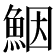 𩶾