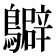 𪇊