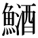 鿐