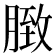 𦟔