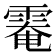 𩃗