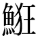 𩷗