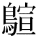𪃗