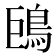 𩿝