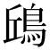 𩿨
