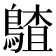 𪃵