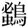 𪄰