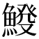 𩸿