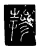 掺(传抄·唐·唐代石刻篆文)