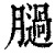 膼(印刷字体·清·康熙字典)