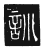 訓(传抄·唐·唐代石刻篆文)