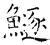 鱁(石经·唐·开成石经)