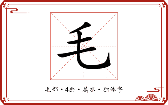 毛 毛